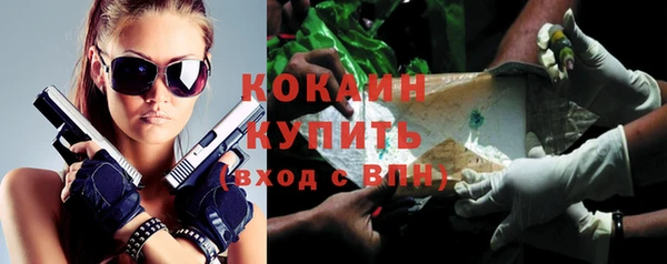 стафф Осинники