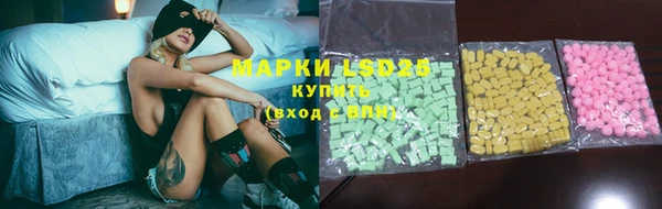 стафф Осинники