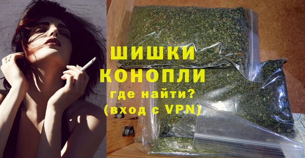 стафф Осинники