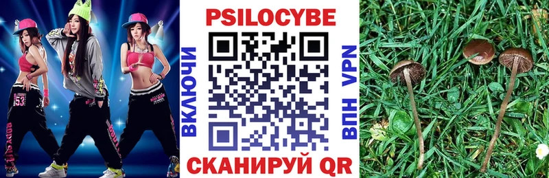 Псилоцибиновые грибы Cubensis  Курильск 